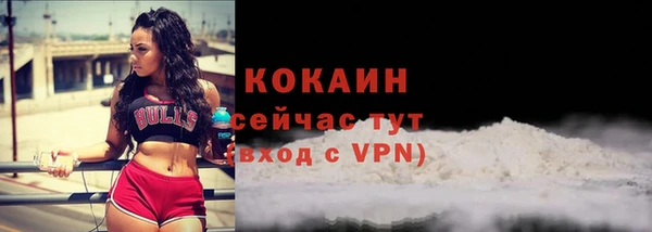 дживик Корсаков