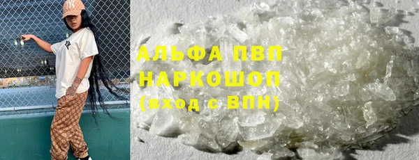 дживик Корсаков