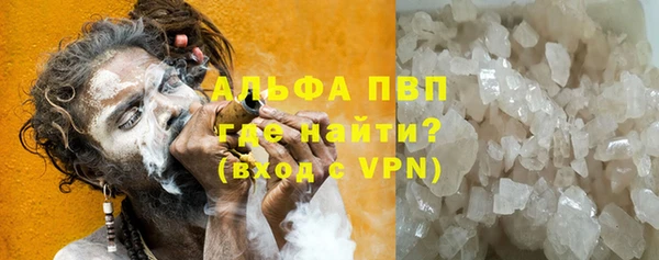 дживик Корсаков