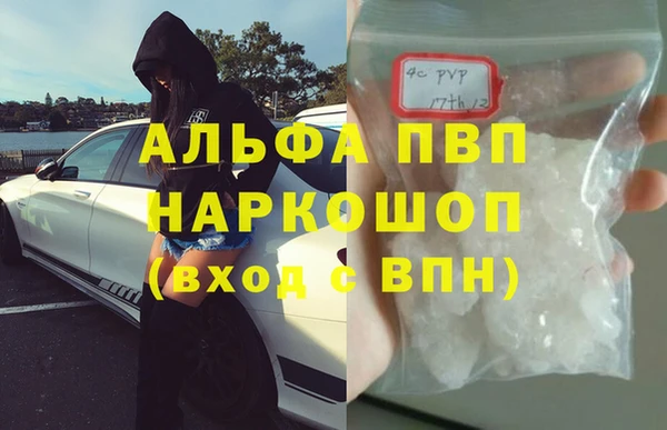 дживик Корсаков